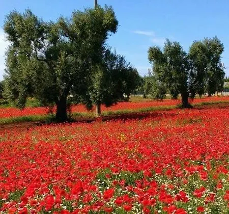 Сasa de vacaciones La Mansarda Ceglie Messapica